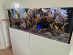 Zee aquarium 130x55x55 cm, Dieren en Toebehoren, Vissen | Aquaria en Toebehoren, Ophalen, Gebruikt, Leeg aquarium