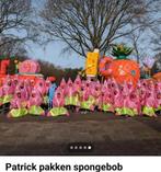 Loopgroep Carnaval, Ophalen of Verzenden, Gedragen, Overige maten