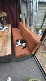 Eettafelbank, Ophalen, Zo goed als nieuw, Rechthoekig, 200 cm of meer