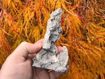 Bonsai Penjing rots ca. 6,8x6x14,5 beschikbaar voor biedingen