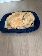 Perfect petzzz Slapende knuffel Golden Retriever, Kinderen en Baby's, Speelgoed | Knuffels en Pluche, Ophalen of Verzenden, Zo goed als nieuw
