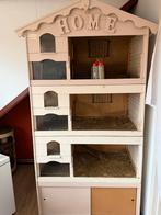 Cavia flat, Dieren en Toebehoren, Knaagdieren en Konijnen | Hokken en Kooien, Ophalen, 110 cm of meer, 90 cm of meer, Hok