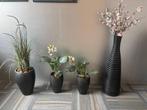 Diverse kunstplanten en bloemen in vazen, Ophalen, Zo goed als nieuw, Binnen