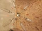 Schitterende  retro  plafondlamp  2x, Ophalen, Gebruikt, Glas