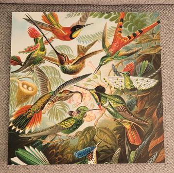 Print van tropische vogels op kunststof beschikbaar voor biedingen