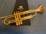 Mandala Draco 5 estrellas trompet, Muziek en Instrumenten, Blaasinstrumenten | Trompetten, Ophalen of Verzenden, Bes-trompet, Zo goed als nieuw