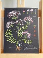 ILLUSTRATIE Print (uit flow) Valeriana van Eva Juliet, Ophalen of Verzenden, Nieuw, Minder dan 50 cm, Schilderij