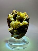 Adamiet op Limoniet – Ojuela Mine, Mexico, Ophalen of Verzenden, Mineraal