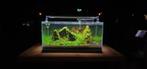 Superfish Scaper aquariums (Scaper 45, 60, 70 en 90), Ophalen, Nieuw, Leeg aquarium, Nvt