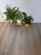 Mooie laminaat vloer - licht bruin en grijs tonen, Huis en Inrichting, Stoffering | Vloerbedekking, Ophalen, Gebruikt, Grijs, Modern