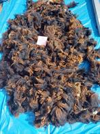 nr 16 Geschoren vacht van een bergschaap lam, Ophalen of Verzenden