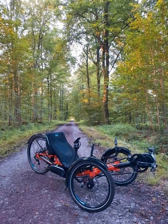 HP VELOTECHNIK Scorpion2 E-trike, Fietsen en Brommers, Fietsen | Ligfietsen, Zo goed als nieuw, Overige merken, Onderstuur, Ophalen