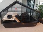 Hamsterkooi, Kooi, Minder dan 75 cm, Zo goed als nieuw, Ophalen