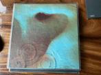 Pink Floyd Meddle, Cd's en Dvd's, Ophalen of Verzenden, Gebruikt, Progressive
