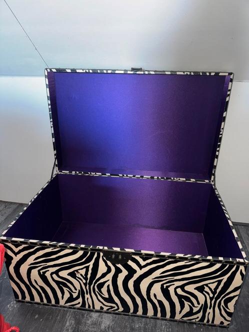 Super toffe kist, Huis en Inrichting, Woonaccessoires | Kisten, Zo goed als nieuw, 50 tot 75 cm, Minder dan 50 cm, 50 tot 100 cm