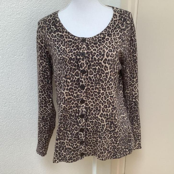 mooie vestjes, maat 38 en 40. € 7.50 per stuk // ZGAN, Kleding | Dames, Truien en Vesten, Zo goed als nieuw, Zwart, Ophalen of Verzenden