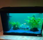 Capri 50 aquarium 40 liter, Dieren en Toebehoren, Vissen | Aquaria en Toebehoren, Ophalen of Verzenden, Leeg aquarium