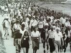 Via Gladiola, 100 jaar Vierdaagse ten voeten uit., Boeken, 20e eeuw of later, Ophalen of Verzenden, Zo goed als nieuw, M. van Rotterdam