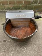 Gietijzeren SUEVIA waterdrinkbak, Dieren en Toebehoren, Mannelijk, Schaap
