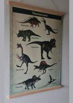 NIEUW! Schoolposter Dinosaurussen - Dubbelzijdig Bedrukt, Ophalen, Natuur en Biologie