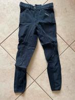 Rijbroek donkerblauw van het merk Pikeur, Ophalen of Verzenden, Zo goed als nieuw, Dressuur, Onderkleding