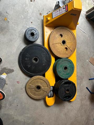Halterschijven - plates beschikbaar voor biedingen