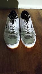 Panther zaal voetbalschoenen M 41, Kleding | Heren, Sportkleding, Ophalen, Panther, Wit, Overige maten
