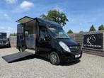 BLACK BEAUTY MOVANO PAARDENWAGEN 2011 MET OPBOUW UIT 2021, Dieren en Toebehoren, Paarden en Pony's | Trailers en Aanhangwagens