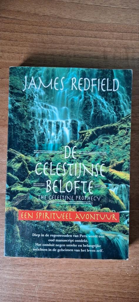Redfield: Celestijnse Belofte & Het Tiende Inzicht, Boeken, Esoterie en Spiritualiteit, Verzenden