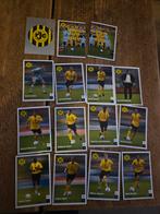Roda jc Albert heijn 2008 2009, Verzamelen, Sportartikelen en Voetbal, Ophalen of Verzenden, Zo goed als nieuw, Roda JC