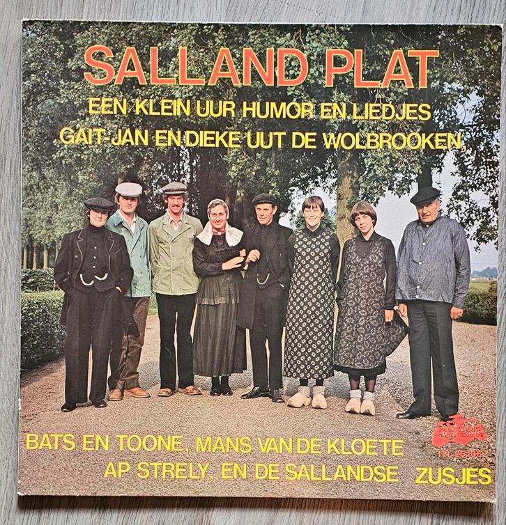 LP Salland Plat - Humor en liedjes uit Salland, Cd's en Dvd's, Vinyl | Nederlandstalig, Gebruikt, Levenslied of Smartlap, 12 inch