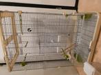 Te koop: Mooie, stevige vogelkooi, Ophalen, Zo goed als nieuw, Metaal, Vogelkooi
