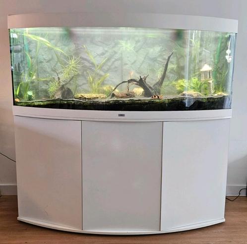Juwel Vision 450L wit met toebehoren, Dieren en Toebehoren, Vissen | Aquaria en Toebehoren, Gebruikt, Leeg aquarium, Ophalen