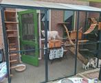 Overdekte kattenten 400 x 160 dak loopt af 260 naar 200, Tuin en Terras, Overkappingen, Ophalen of Verzenden, Zo goed als nieuw
