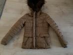 Gaastra jas maat XS, Kleding | Dames, Jassen | Winter, Gaastra, Bruin, Nieuw, Ophalen of Verzenden