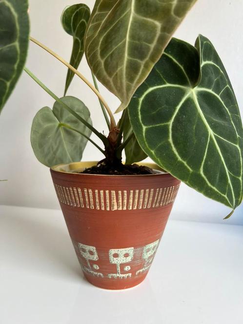 Vintage Grote West Germany Bloempot Teaklook Geel Ø18,5 70’s, Antiek en Kunst, Antiek | Keramiek en Aardewerk, Ophalen of Verzenden