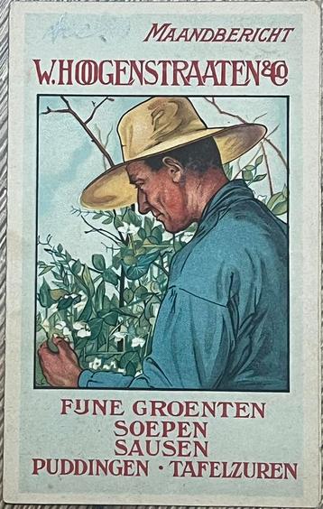 reclamekaart 1930 W. Hoogenstraaten pudding Leiden Alkmaar beschikbaar voor biedingen