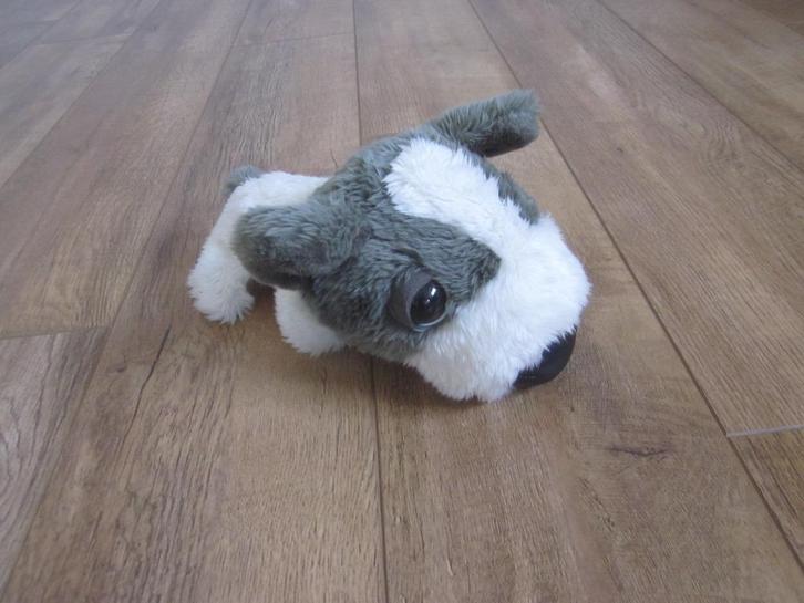 Big Headz Artlist International wit-grijs pluche hond knuffe, Kinderen en Baby's, Speelgoed | Knuffels en Pluche, Nieuw, Hond