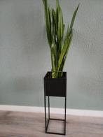 Plantenzuil, Ophalen, Zo goed als nieuw