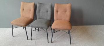 3x Chiara van Henders en Hazel nu voor €399,- beschikbaar voor biedingen