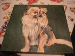 Schilderij op doek gesigneerd , lief hondje 50x50cm, Antiek en Kunst, Kunst | Schilderijen | Klassiek, Ophalen