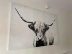 Schotse Hooglander canvas, Huis en Inrichting, Ophalen, 100 tot 125 cm, 75 cm of meer, Print