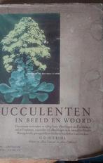 Succulenten in beeld en woord., Ophalen of Verzenden, Halfschaduw, Minder dan 100 cm