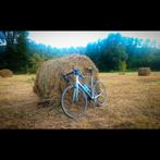 Canyon - Endurace CF 9 Di2 Ultegra (carbon + elektronisch), 28 inch, Gebruikt, Carbon, Heren