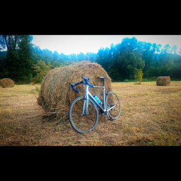 Canyon - Endurace CF 9 Di2 Ultegra (carbon + elektronisch)  beschikbaar voor biedingen