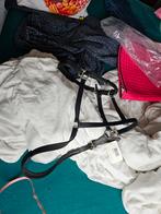 leren halster xfull, Dieren en Toebehoren, Ophalen of Verzenden, Nieuw, Overige soorten