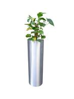 Set van 2 aluminium plantenbakken 92cm hoog, Ophalen, Gebruikt, Minder dan 60 cm, Rond
