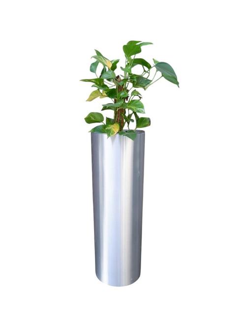 Set van 2 aluminium plantenbakken 92cm hoog, Tuin en Terras, Bloembakken en Plantenbakken, Gebruikt, Metaal, Binnen, 60 cm of meer