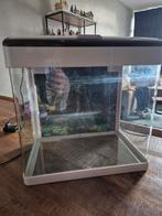 Mooi klein aquarium, Ophalen, Gebruikt, Leeg aquarium
