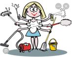 Gezocht interieur verzorgster/schoonmaakster, Diensten en Vakmensen, Schoonmakers en Glazenwassers, Schoonmaken woning